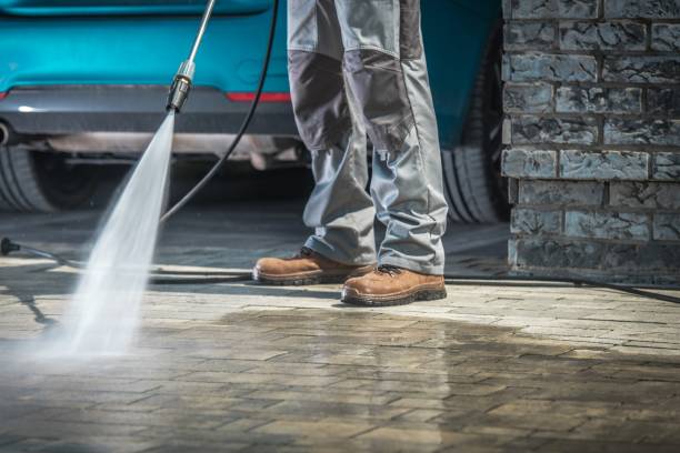 Best Rust Removal  in Winchester, VA