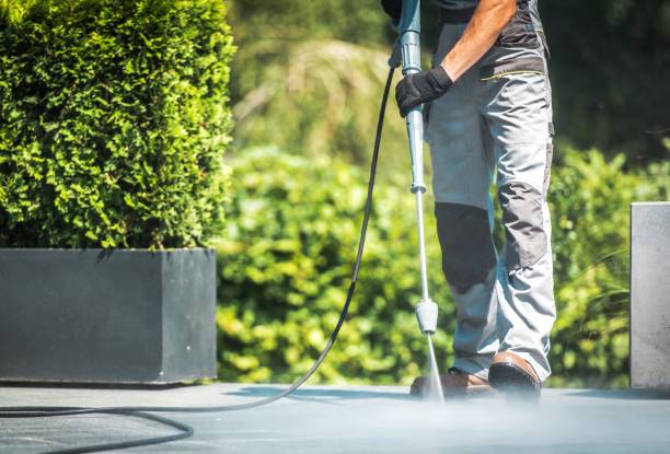 Best Patio and Deck Pressure Washing  in Winchester, VA