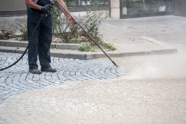 Best Winterizing Services  in Winchester, VA